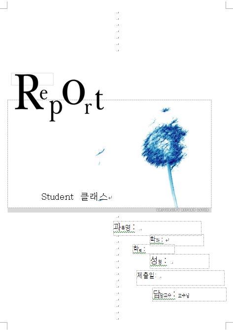 사용자 삽입 이미지