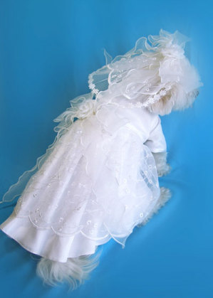 Satin And Lace Dog Bridal Gown